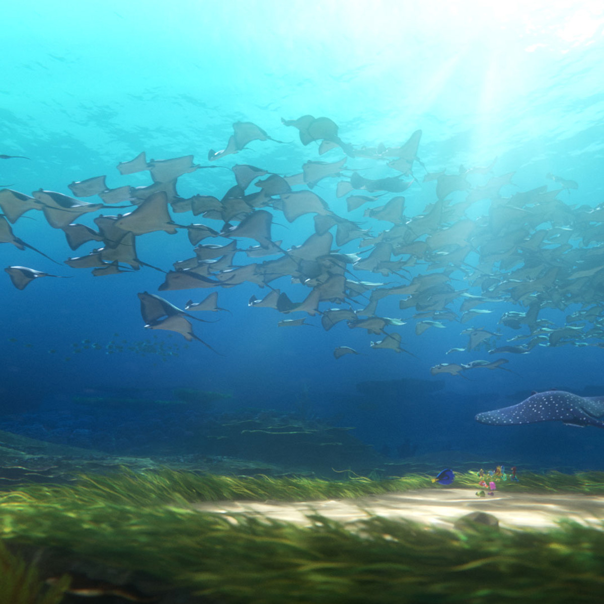pixar renderman ocean material
